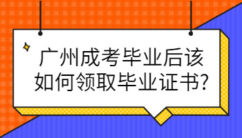 广州成考毕业