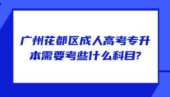 广州花都区成人高考专升本