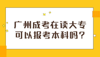 广州成考在读大专可以报考本科吗