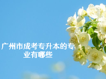 广州市成考专升本专业