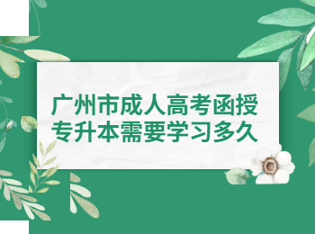 广州市成人高考函授专升本