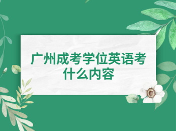 广州成考 广州成考学位英语