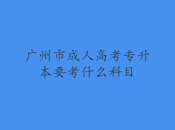 广州市成人高考专升本