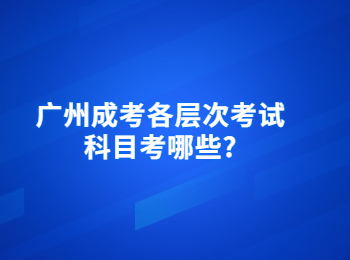 广州成考考试科目