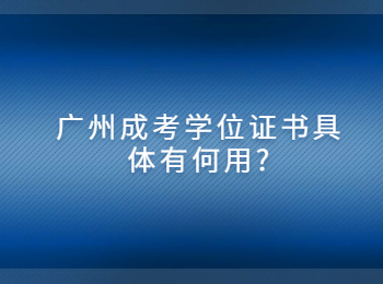 广州成考学位证书