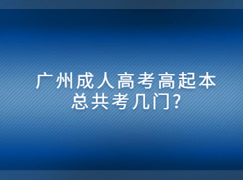 广州成人高考高起本