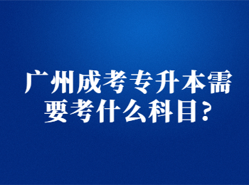 广州成考专升本 广州成考