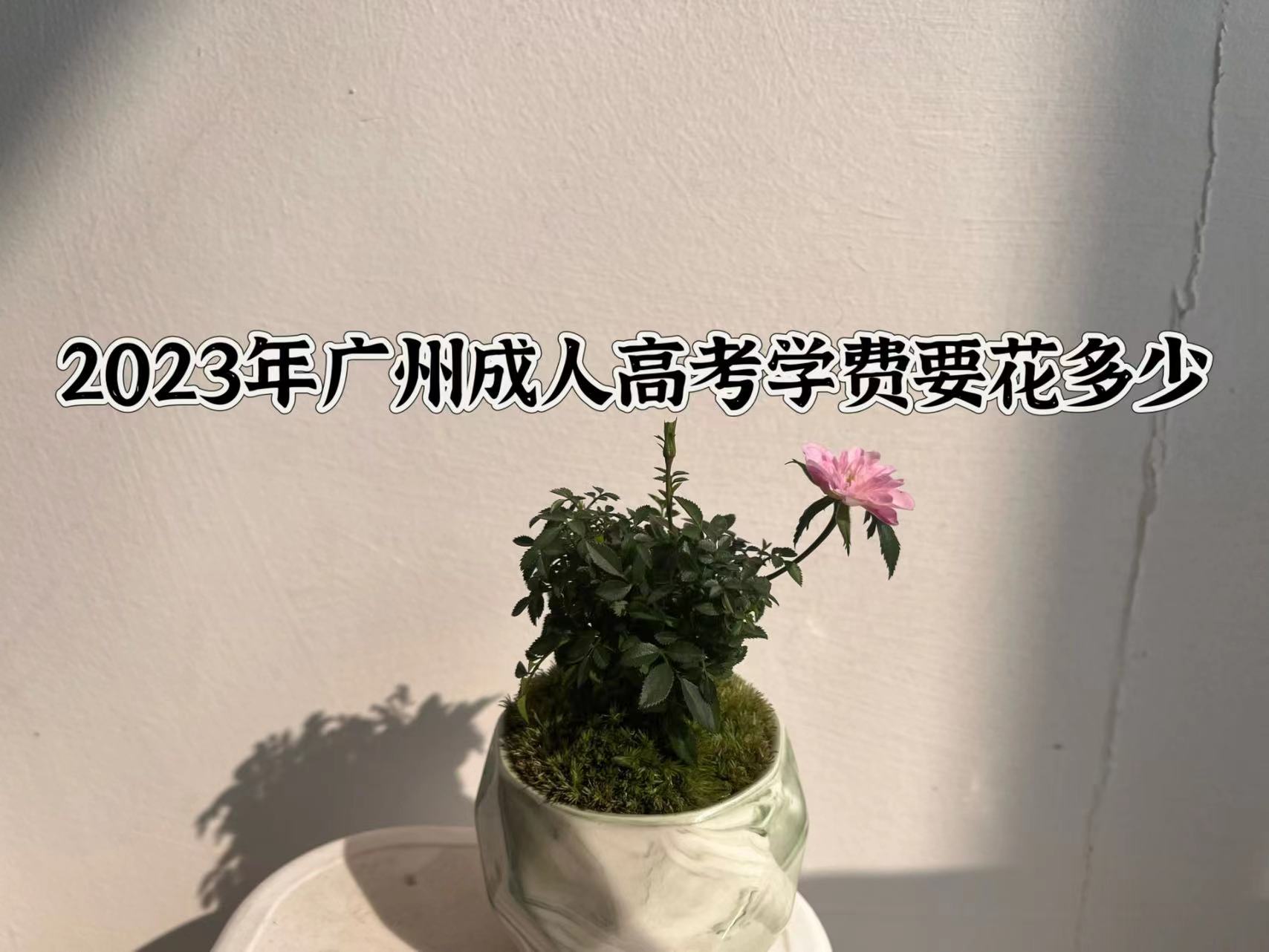 广州成人高考